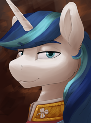 Size: 2496x3360 | Tagged: safe, artist:kelkessel, imported from derpibooru, shining armor, unicorn, equestria at war mod, bust, clothes, horn, portrait, solo