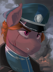 Size: 2340x3150 | Tagged: safe, artist:kelkessel, imported from derpibooru, oc, oc only, oc:red foam, bat pony, pony, equestria at war mod, bust, cap, clothes, fangs, hat, portrait, scar, solo
