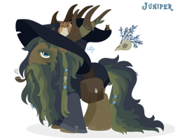 Size: 1024x809 | Tagged: safe, artist:kabuvee, imported from derpibooru, oc, oc only, oc:juniper, bird, owl, pony, antlers, bag, beard, facial hair, hat, male, saddle bag, simple background, solo, stallion, transparent background, wizard hat