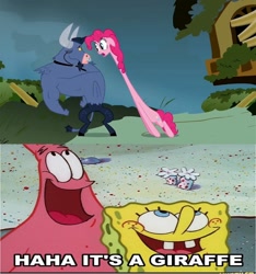 Size: 1280x1366 | Tagged: safe, edit, edited screencap, imported from derpibooru, screencap, iron will, pinkie pie, earth pony, minotaur, pony, starfish, putting your hoof down, female, it's a giraffe, long neck, male, meme, nickelodeon, patrick star, reference, sponge, spongebob reference, spongebob squarepants, spongebob squarepants (character)