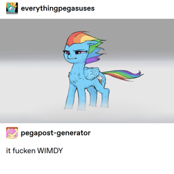 Size: 2000x2000 | Tagged: safe, artist:redruin01, imported from derpibooru, rainbow dash, pegasus, pony, chest fluff, commission, female, mare, meme, solo, tumblr, vulgar, wimdy meme, windswept mane