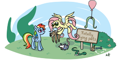 Size: 4000x2000 | Tagged: safe, artist:mafon, imported from derpibooru, fluttershy, rainbow dash, opossum, pegasus, pony, sloth, snake, may the best pet win, balloon, blatant lies, bullshit, chicanery, duo, duo female, fake wings, female, grin, lidded eyes, mare, rainbow dash is not amused, scissors, sign, simple background, smiling, sunglasses, transparent background, unamused, vulgar