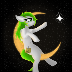 Size: 4500x4500 | Tagged: safe, artist:twinky, imported from derpibooru, oc, pegasus, pony, chest fluff, crescent moon, green eyes, moon, space, stars
