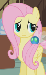 Size: 370x600 | Tagged: safe, edit, edited screencap, editor:twilyisbestpone, imported from derpibooru, screencap, fluttershy, parasprite, pegasus, pony, season 1, swarm of the century, cropped, cute, female, inverted mouth, mare, shyabetes, smiling, solo