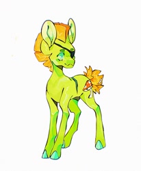 Size: 672x815 | Tagged: safe, artist:m00nkachu, imported from derpibooru, oc, oc only, oc:patchsey mohawk, earth pony, pony, eyepatch, male, mohawk, simple background, solo, stallion, white background