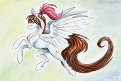 Size: 1600x1066 | Tagged: safe, artist:sunny way, imported from derpibooru, oc, oc:sunny way, horse, pegasus, pony, art, artwork, cartoon, concave belly, digital art, feather, female, fit, fluffy, flying, fur, ipad, lacrimal caruncle, long tail, mare, muscles, realistic paint studio, slender, solo, spread wings, sternocleidomastoid, tail, thin, traditional art, watercolor painting, wings