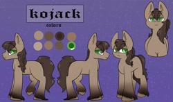 Size: 3361x1971 | Tagged: safe, artist:xxgirlscoutcookiexx, oc, oc only, pony, male, reference sheet