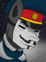 Size: 768x1024 | Tagged: safe, artist:riley vinchers, imported from derpibooru, oc, oc only, oc:gray fox, pony, equestria at war mod, bust, cap, clothes, guy fawkes mask, hat, portrait, snow, snowfall, solo
