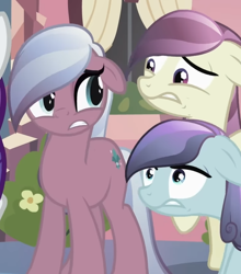Size: 498x565 | Tagged: safe, imported from derpibooru, screencap, elbow grease, fleur de verre, paradise (crystal pony), sapphire joy, crystal pony, earth pony, season 3, the crystal empire, female, implied pinkie pie, looking at each other, looking at someone, mare, offscreen character, paradise (g4), shrunken pupils, standing, trio, unnerved