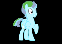 Size: 5256x3760 | Tagged: safe, artist:galaxynightsparkle, imported from derpibooru, oc, oc only, oc:thunder recy, pegasus, pony, base used, black background, male, offspring, parent:rainbow dash, parent:soarin', parents:soarindash, simple background, solo, stallion