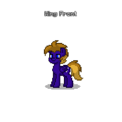Size: 500x500 | Tagged: safe, imported from derpibooru, oc, oc only, pegasus, pony, pony town, blue eyes, brown mane, brown tail, male, pegasus oc, purple coat, simple background, tail, text, transparent background, wings