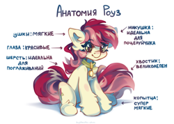 Size: 4591x3261 | Tagged: safe, artist:vanilla-chan, imported from derpibooru, roseluck, pony, collar, commission, commissioner:doom9454, cute, cyrillic, fluffy, meme, pet tag, ponified animal photo, pony pet, rosepet, russian, sitting, translated in the description