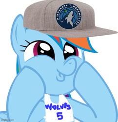 Size: 500x517 | Tagged: safe, imported from derpibooru, rainbow dash, 1000 hours in ms paint, basketball, minnesota timberwolves, nba, sports
