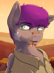 Size: 1560x2100 | Tagged: safe, artist:tofuslied-, imported from derpibooru, oc, oc only, oc:home brew, pegasus, pony, equestria at war mod, bandaid, bandaid on nose, bust, cigar, clothes, portrait, solo