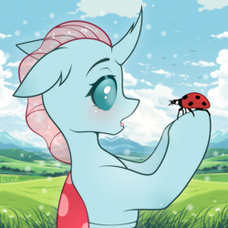 Size: 2500x2500 | Tagged: safe, artist:etoz, imported from derpibooru, ocellus, changedling, changeling, insect, ladybug, :o, blushing, cloud, cute, eyebrows, female, grass, half body, holding, horn, looking at each other, looking at someone, ooh, open mouth, raised eyebrow, raised eyebrows, sky