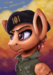 Size: 2808x3978 | Tagged: safe, artist:ryanmandraws, imported from derpibooru, oc, oc only, oc:mad mic, pegasus, pony, equestria at war mod, beret, bust, clothes, hat, military uniform, portrait, solo, uniform