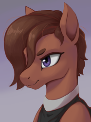 Size: 3060x4100 | Tagged: safe, artist:printik, imported from derpibooru, oc, oc only, oc:zahra al malik, horse, saddle arabian, equestria at war mod, bust, clothes, portrait, solo