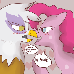 Size: 600x600 | Tagged: safe, artist:klondike, imported from derpibooru, gilda, pinkie pie, earth pony, griffon, griffon the brush off, blushing, female, gildapie, lesbian, looking at each other, looking at someone, mare, shipping, speech bubble, talking