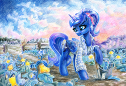 Size: 1724x1186 | Tagged: safe, artist:maytee, imported from derpibooru, princess luna, alicorn, pony, alternate hairstyle, clothes, farm, field, ponytail, shirt, shovel, solo, stars, traditional art