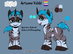 Size: 1759x1307 | Tagged: safe, artist:cozziesart, oc, oc only, pony, female, mare, reference sheet