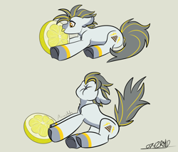 Size: 2800x2400 | Tagged: safe, artist:0747rho, imported from derpibooru, oc, oc only, oc:circuit breaker, pegasus, pony, commission, food, lemon, lemon meme, licking, meme, pegasus oc, puckered face, scrunchy face, silly, silly pony, simple background, solo, sour, tongue out, white background, wings, ych result