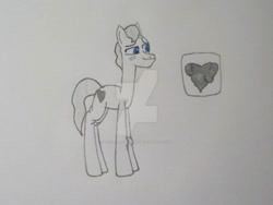 Size: 1032x774 | Tagged: safe, artist:violetrose13-art, imported from derpibooru, oc, oc only, oc:cloud nine, earth pony, pony, elderly, long legs, male, solo, stallion, traditional art