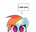 Size: 10000x9000 | Tagged: safe, artist:scandianon, imported from derpibooru, rainbow dash, pegasus, pony, absurd resolution, dialogue box, eye clipping through hair, female, high res, looking at you, mare, peeking, simple background, talking, talking to viewer, transparent background