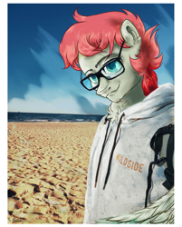 Size: 2286x2848 | Tagged: safe, artist:nazalik, imported from derpibooru, sunny starscout, oc, oc only, oc:arbuzik, anthro, pegasus, beach, beauty, bicycle, chest fluff, clothes, complex background, delight, drawover, ear fluff, g5, glasses, looking at you, male, ocean, photo, sand, smiling, smiling at you, solo, stallion, water, wings