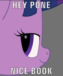 Size: 600x720 | Tagged: safe, artist:k. dale, imported from derpibooru, twilight sparkle, pony, unicorn, gray background, head only, looking at you, meme, simple background, solo, text, unicorn twilight