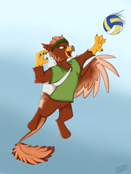 Size: 2666x3548 | Tagged: safe, artist:rutkotka, imported from derpibooru, oc, oc only, oc:pavlos, griffon, bandage, beak, blue background, broken bone, broken wing, cast, cheek fluff, claws, clothes, colored wings, commission, eared griffon, gradient background, griffon oc, happy, headband, injured, jumping, non-pony oc, nonbinary, shirt, simple background, sling, smiling, solo, sports, tail, volleyball, wings