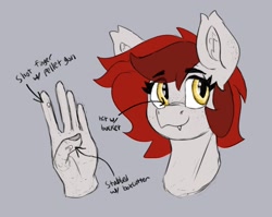 Size: 2391x1902 | Tagged: safe, artist:reddthebat, imported from derpibooru, oc, oc only, oc:reddthebat, bat pony, pony, arrow, bat pony oc, bat wings, eyebrows, eyebrows visible through hair, fangs, female, gray background, hand, mare, simple background, solo, text, wings