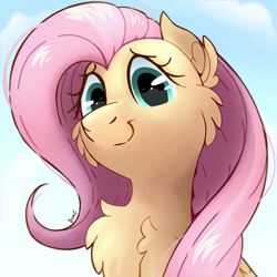 Size: 1080x1080 | Tagged: safe, artist:candy meow, imported from derpibooru, pegasus, pony, <:), cheek fluff, chest fluff, cloud, ear fluff, female, looking at you, looking down, looking down at you, mare, sky, solo