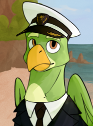 Size: 520x700 | Tagged: safe, artist:bunnyshrubby, imported from derpibooru, oc, oc only, oc:miguel vuelo fernandez pajaro, griffon, equestria at war mod, admiral, bust, cap, clothes, griffon oc, hat, male, necktie, ocean, portrait, solo, uniform, water