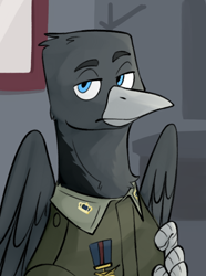 Size: 520x700 | Tagged: safe, artist:bunnyshrubby, imported from derpibooru, oc, oc only, oc:jan onverschrikt, griffon, equestria at war mod, bust, clothes, griffon oc, medal, military uniform, portrait, solo, uniform