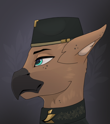 Size: 1038x1167 | Tagged: safe, artist:callsign-echo, imported from derpibooru, oc, oc only, oc:cakarkeluli semuakawan, griffon, equestria at war mod, bust, clothes, griffon oc, hat, portrait, solo