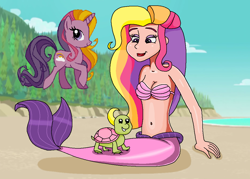Size: 1064x760 | Tagged: safe, artist:ocean lover, edit, edited screencap, imported from derpibooru, screencap, human, mermaid, turtle, unicorn, animal love, background edit, bare shoulders, beach, beautiful, beautiful hair, belly button, bra, clothes, cloud, curvy, cute, dot eyes, female, fins, fish tail, horn, hourglass figure, human coloration, humanized, light skin, lips, long hair, looking at each other, looking at someone, mermaid tail, mermaidized, mermay, midriff, ms paint, multicolored hair, ocean, outdoors, pretty, purple eyes, rainbow flash (g4), rainbow hair, sand, seashell, seashell bra, sitting, sky, sleeveless, smiling, smiling at each other, species swap, tail, tail fin, tree, underwear, water