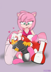 Size: 1622x2271 | Tagged: safe, artist:foxxy-arts, imported from derpibooru, oc, oc:foxxy hooves, hedgehog, hippogriff, amy rose, blushing, boots, clothes, clothing transformation, duo, duo female, female, forced perspective, headband, heart, hippogriff oc, inanimate tf, lidded eyes, mid-transformation, open mouth, pink background, shoes, simple background, socks, sonic the hedgehog (series), transformation