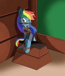 Size: 2037x2368 | Tagged: safe, artist:parassaux, imported from derpibooru, rainbow dash, anthro, plantigrade anthro, bit gag, bondage, bound and gagged, clothes, female, gag, gymnasium, gymnastics, hands behind back, leotard, looking at you, rope, rope bondage, sitting, solo, vaulting box