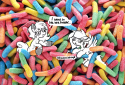 Size: 2342x1590 | Tagged: safe, artist:opalacorn, imported from derpibooru, oc, oc only, earth pony, pegasus, pony, candy, chest fluff, coat markings, commission, dialogue, duo, eating, female, food, gummy worm, irl, mare, photo, ponies in food, ponies in real life, speech bubble, tiny, tiny ponies, unshorn fetlocks
