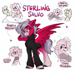 Size: 2806x2700 | Tagged: safe, artist:opalacorn, imported from derpibooru, oc, oc only, oc:sterling salvo, pegasus, pony, clothes, glasses, gradient legs, grin, looking at you, male, map, name, simple background, smiling, smiling at you, solo focus, spread wings, stallion, sweater, text, turtleneck, white background, wings