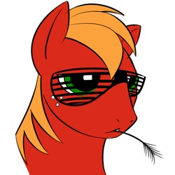 Size: 500x500 | Tagged: safe, artist:kloudmutt, imported from derpibooru, big macintosh, earth pony, pony, bust, hay stalk, male, portrait, shutter shades, simple background, solo, stallion, straw in mouth, sunglasses, white background