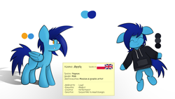 Size: 8000x4500 | Tagged: safe, artist:japkozjad, imported from derpibooru, oc, oc:apply, pegasus, absurd resolution, clothes, heterochromia, hoodie, male, pegasus oc, reference sheet, simple background, stallion, text, white background, wings