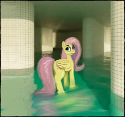 Size: 2886x2686 | Tagged: safe, artist:phutashi, imported from derpibooru, fluttershy, pegasus, pony, indoors, liminal space, looking back, poolrooms, solo