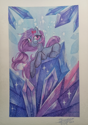 Size: 2798x3975 | Tagged: safe, artist:jsunlight, imported from derpibooru, oc, earth pony, pony, solo, traditional art, watercolor painting
