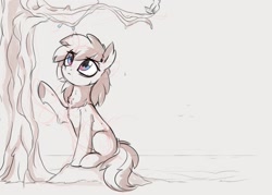 Size: 1194x857 | Tagged: safe, artist:aureai-sketches, imported from derpibooru, oc, oc only, bird, earth pony, pony, chest fluff, colored sketch, ear fluff, ear piercing, earring, female, jewelry, mare, piercing, sitting, sketch, solo, tree