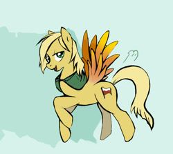 Size: 700x623 | Tagged: safe, artist:featherhead, imported from derpibooru, pegasus, pony, hetalia, male, poland, ponified, solo