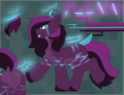 Size: 4616x3520 | Tagged: safe, imported from derpibooru, oc, oc only, oc:plexa, earth pony, pony, floating hair, glowing, heart butt, multicolored eyes, multicolored mane, multicolored tail, raised tail, reference sheet, solo, tail, two toned coat