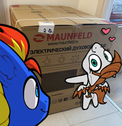 Size: 690x715 | Tagged: safe, artist:airfly-pony, imported from derpibooru, oc, oc:scarlett drop, oc:wing hurricane, pegasus, box, cardboard box, chibi, cute, cyrillic, happy, heart, irl, looking at each other, looking at someone, oven, photo, russian, scarricane, smiling, smiling at each other