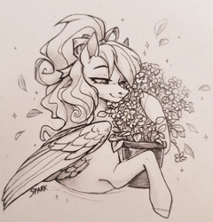 Size: 1010x1052 | Tagged: safe, artist:sparkling_light, imported from derpibooru, oc, oc only, pegasus, pony, female, flower pot, mare, pegasus oc, solo, traditional art, wings