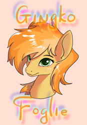 Size: 1640x2360 | Tagged: safe, imported from derpibooru, oc, earth pony, profile